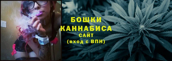шишки Новодвинск