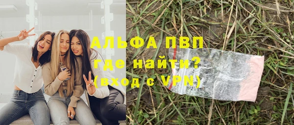 шишки Новодвинск