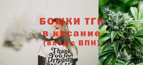 шишки Новодвинск
