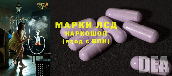 шишки Новодвинск
