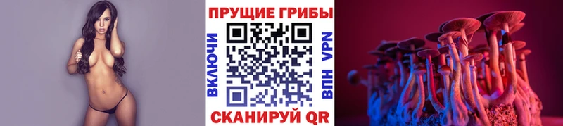 Псилоцибиновые грибы Cubensis  закладки  маркетплейс наркотические препараты  Полярные Зори 